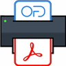 Invoice Flash Print