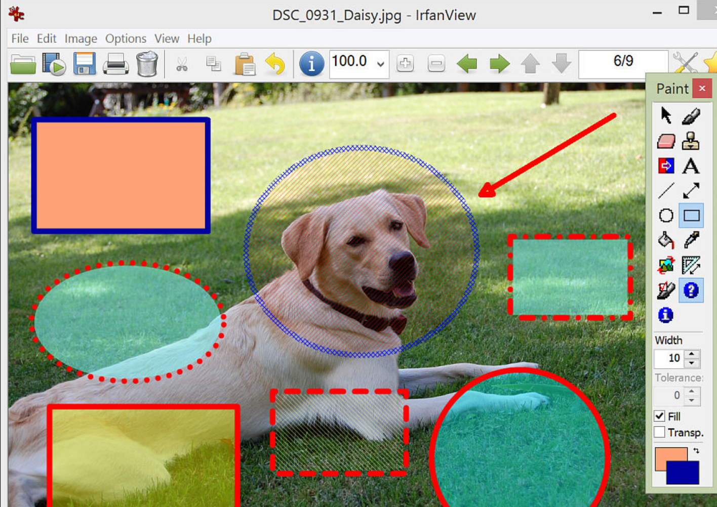 IrfanView ALL plugins screenshot
