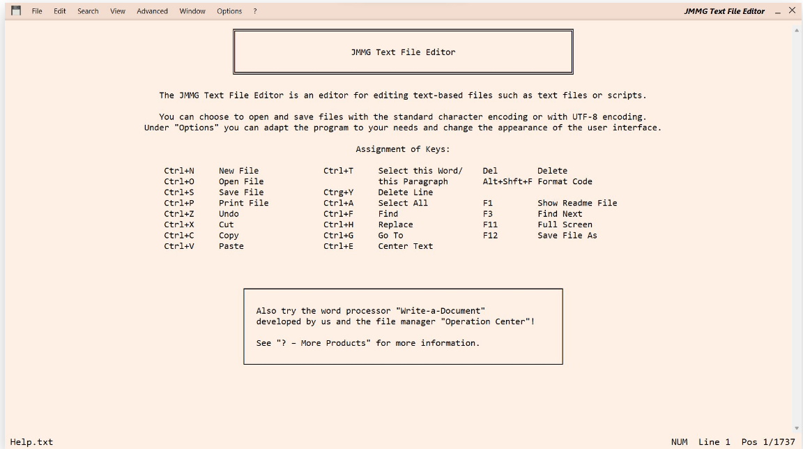 JMMG Text File Editor screenshot