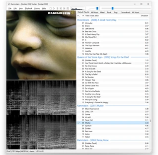 NetWave Audio Player screenshot